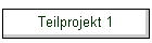 Teilprojekt 1