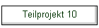 Teilprojekt 10