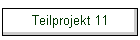 Teilprojekt 11