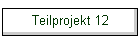 Teilprojekt 12