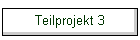 Teilprojekt 3