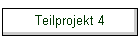 Teilprojekt 4