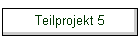 Teilprojekt 5