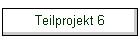 Teilprojekt 6