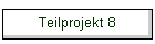 Teilprojekt 8