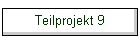 Teilprojekt 9